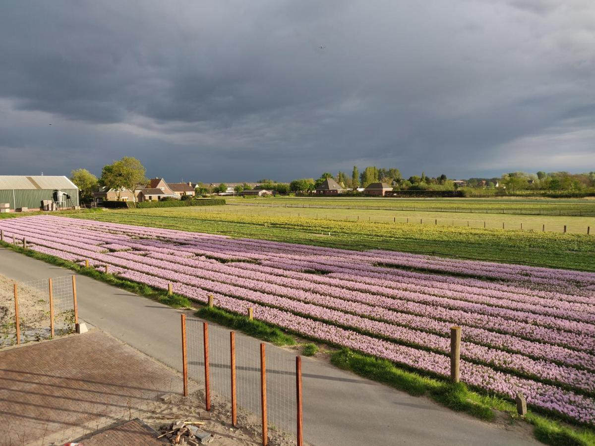Tulpenhoek Akersloot Exterior photo